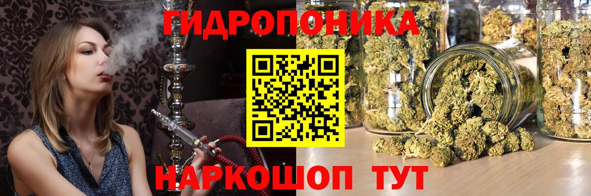 Канабис марихуана  Конопля план  Сальск  Вход с VPN 